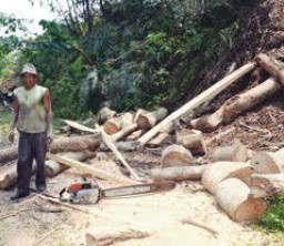 Merusak Pekarangan Orang, Kades Dituntut 500 juta 